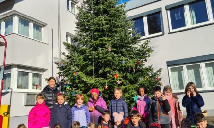 Schulklasse verzaubert  Weihnachtsbaum